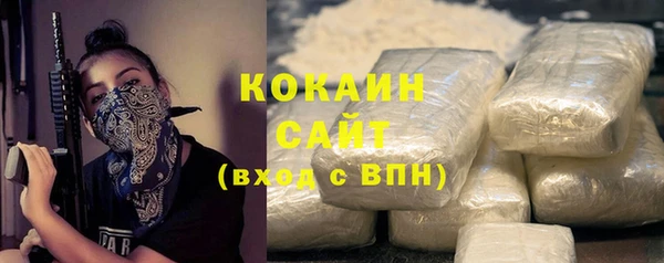 стаф Горняк