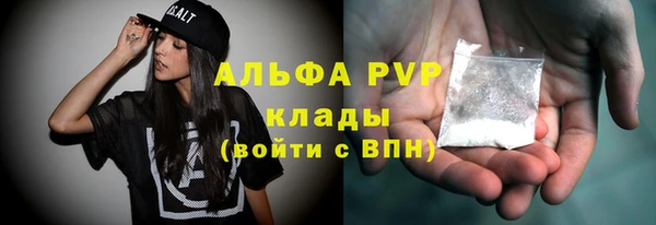стаф Горняк