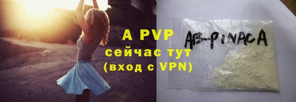стаф Горняк