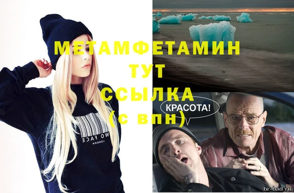 стаф Горняк