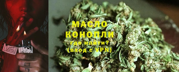 стаф Горняк