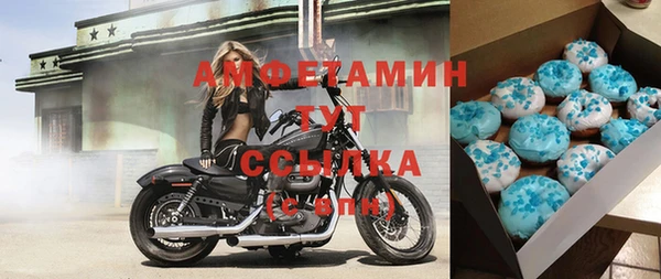 стаф Горняк
