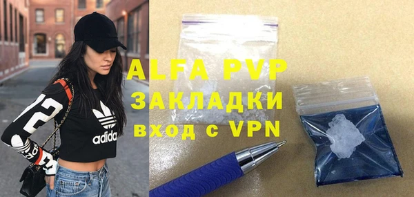 стаф Горняк