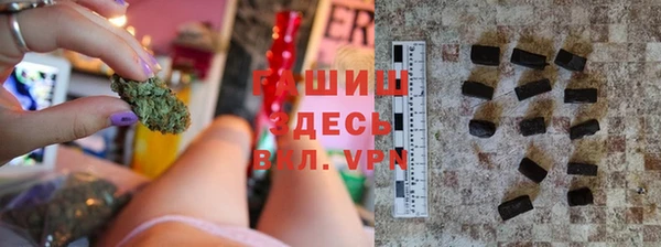 стаф Горняк