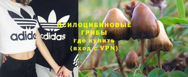 стаф Горняк