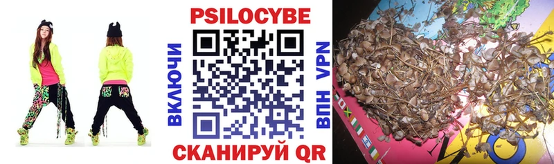 Галлюциногенные грибы Psilocybe  Заволжск 